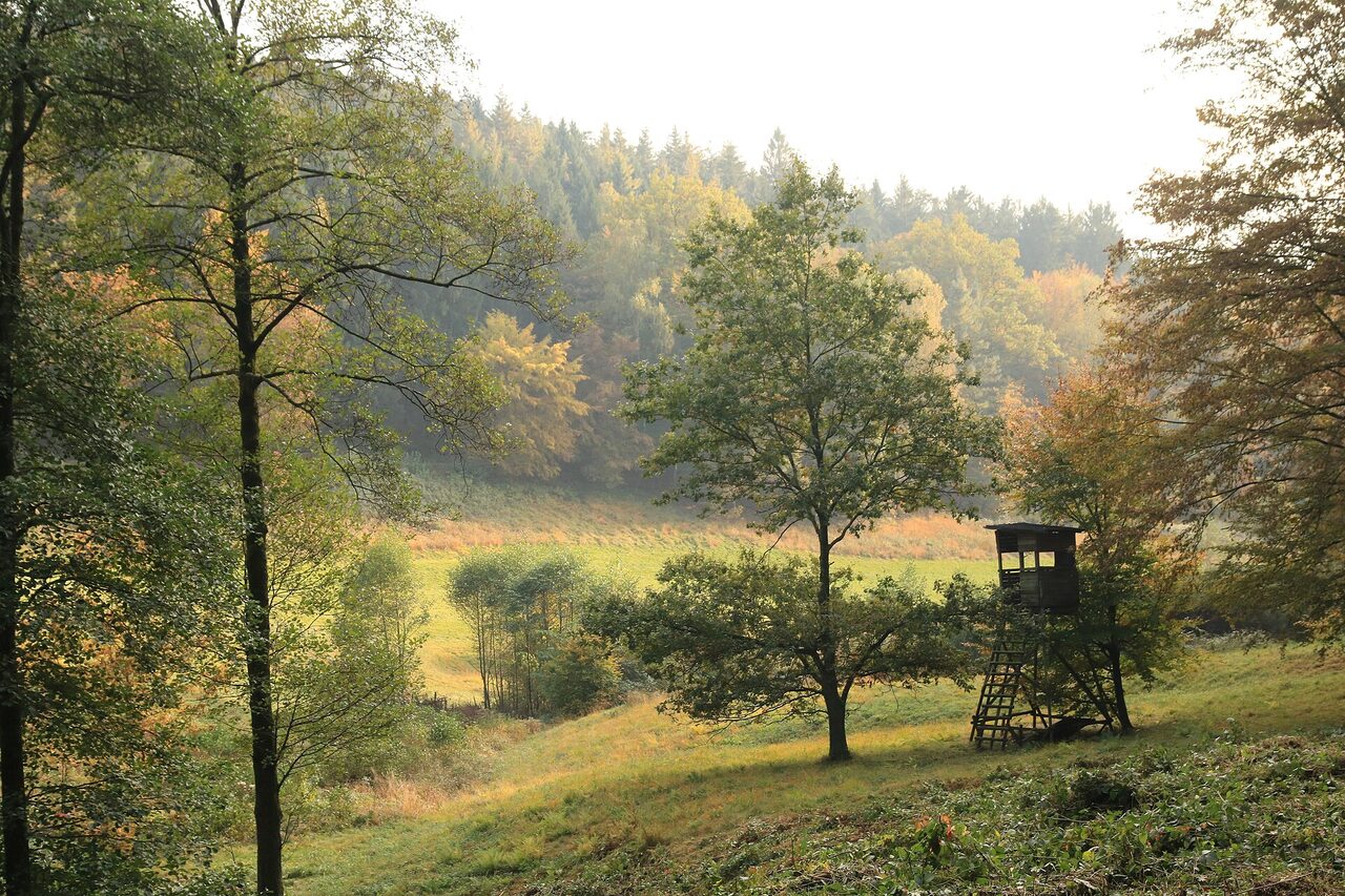 Poľovnícky posed pod stromami na okraji jesennej lúky