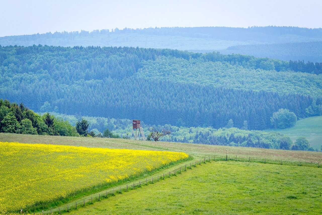 Zvlnená krajina s poľami, lesmi a posedom na okraji lúky